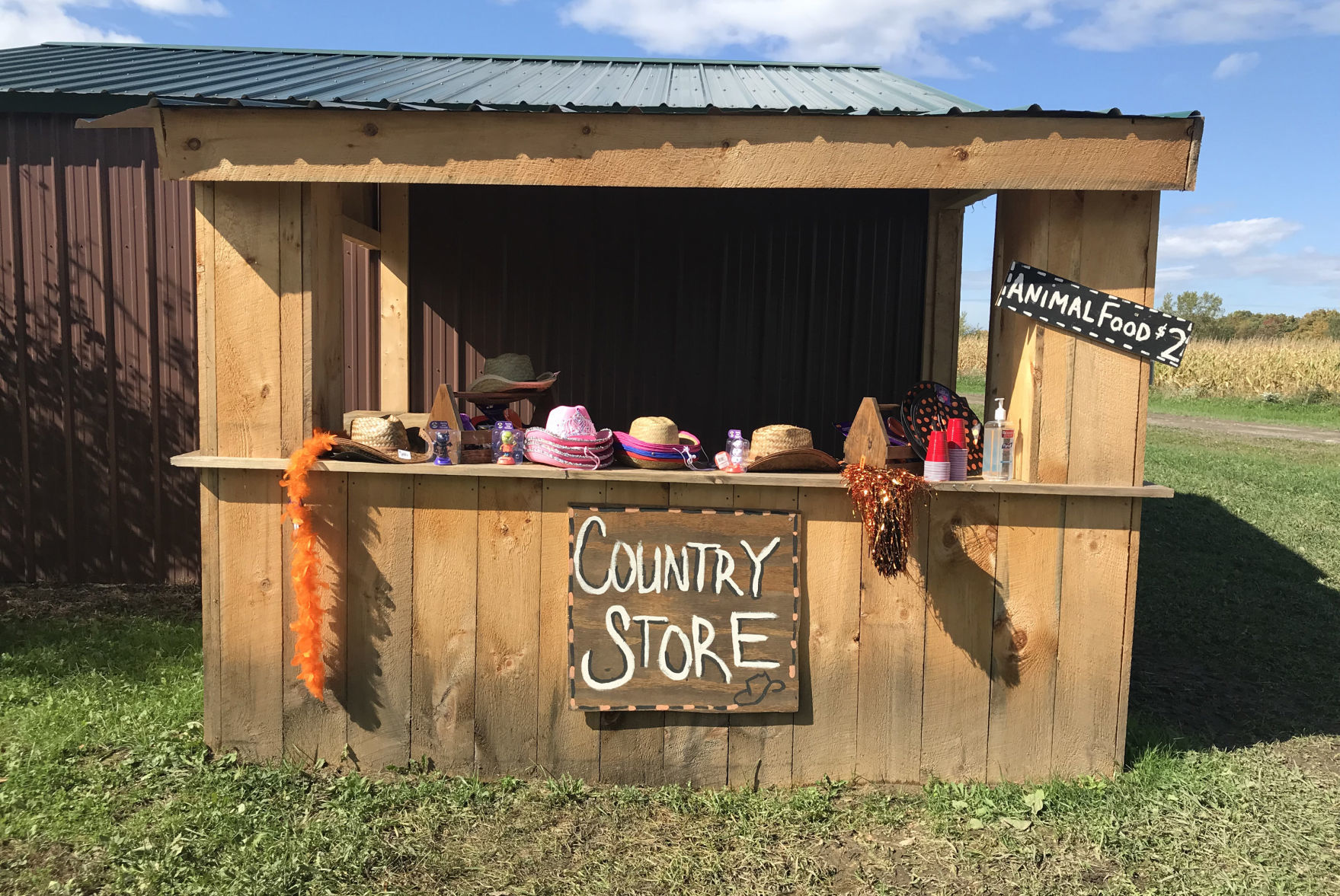 Penny's Country Farm 9